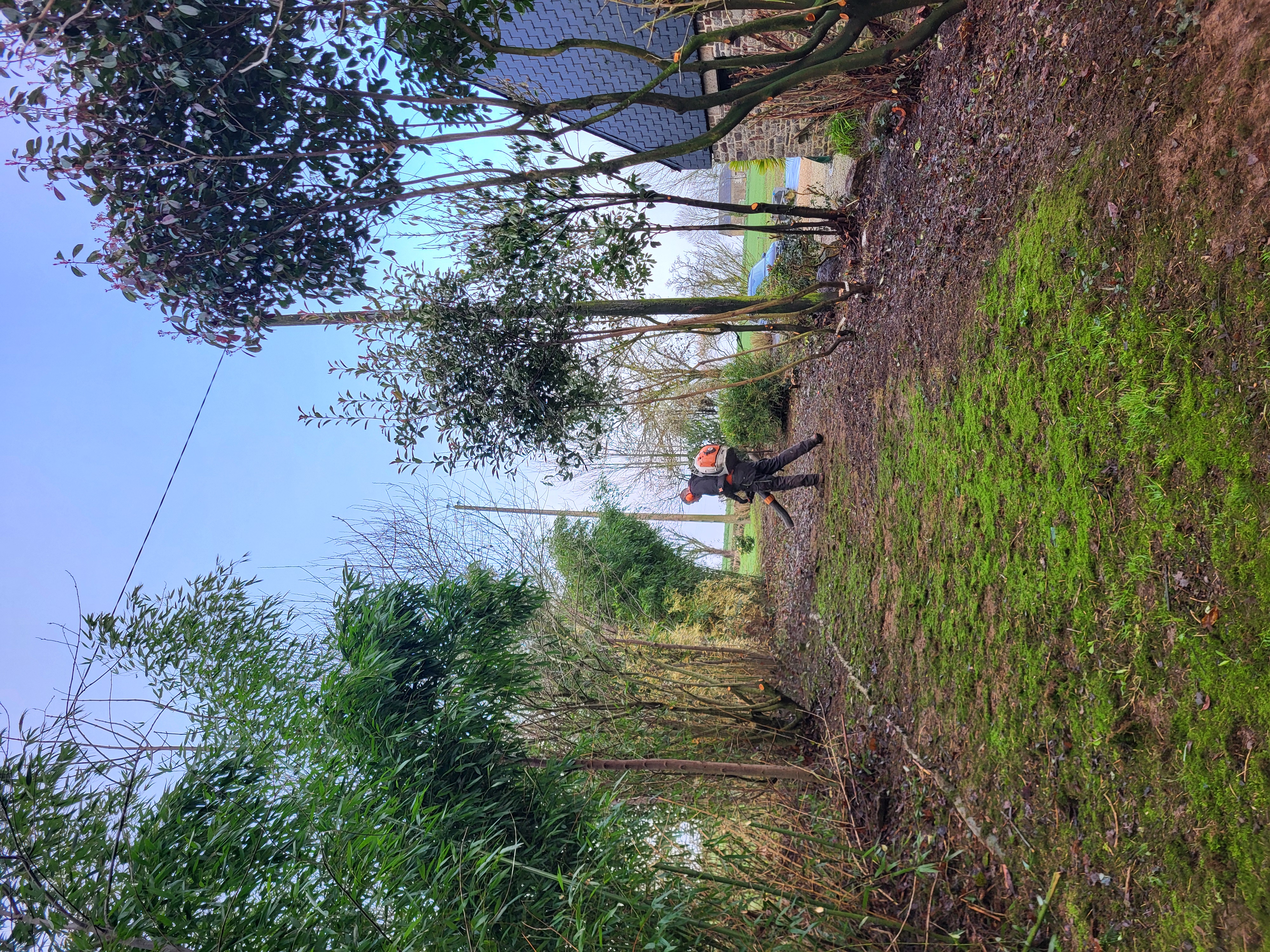 Entretien de jardin