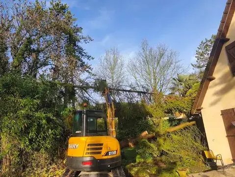 abattage arbre à Vire - image 2