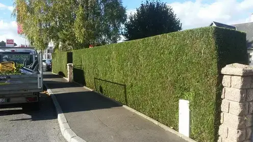 entretien jardin Saint-Lô-5