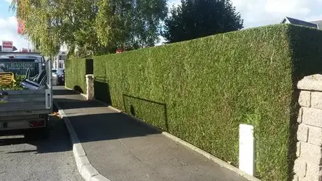 entretien jardin à Villedieu-les-Poêles - image 4