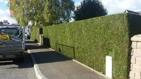 entretien jardin à Vire - image 3