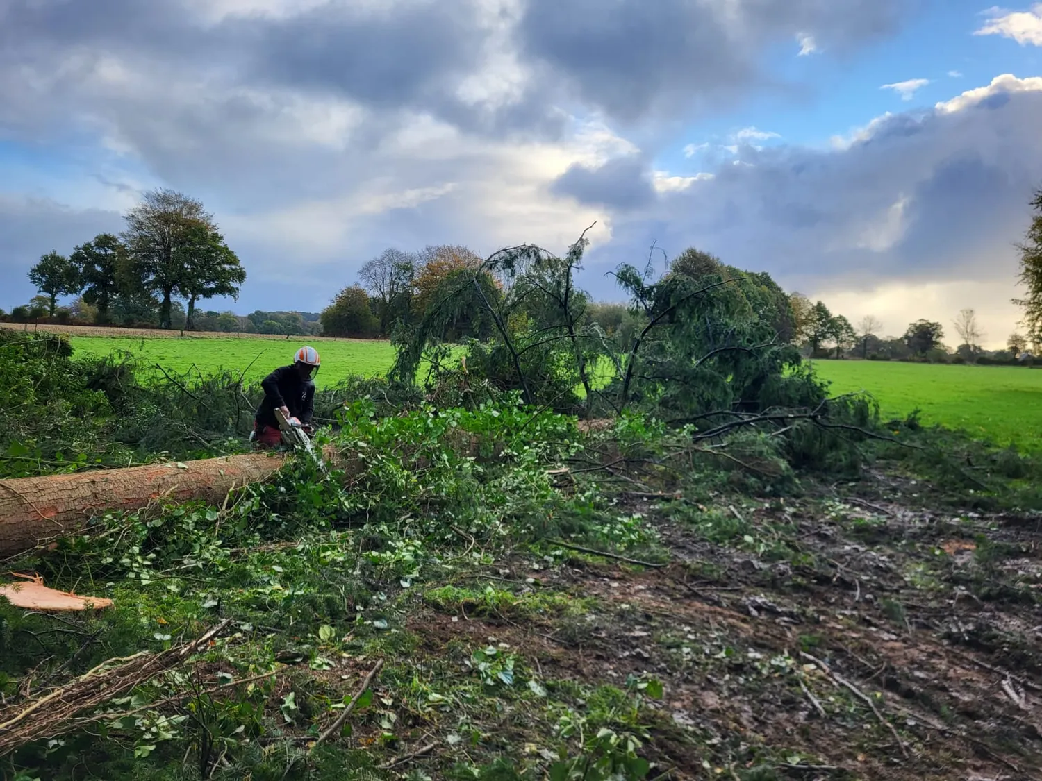 Réalisation Baudin Parcs et Jardins